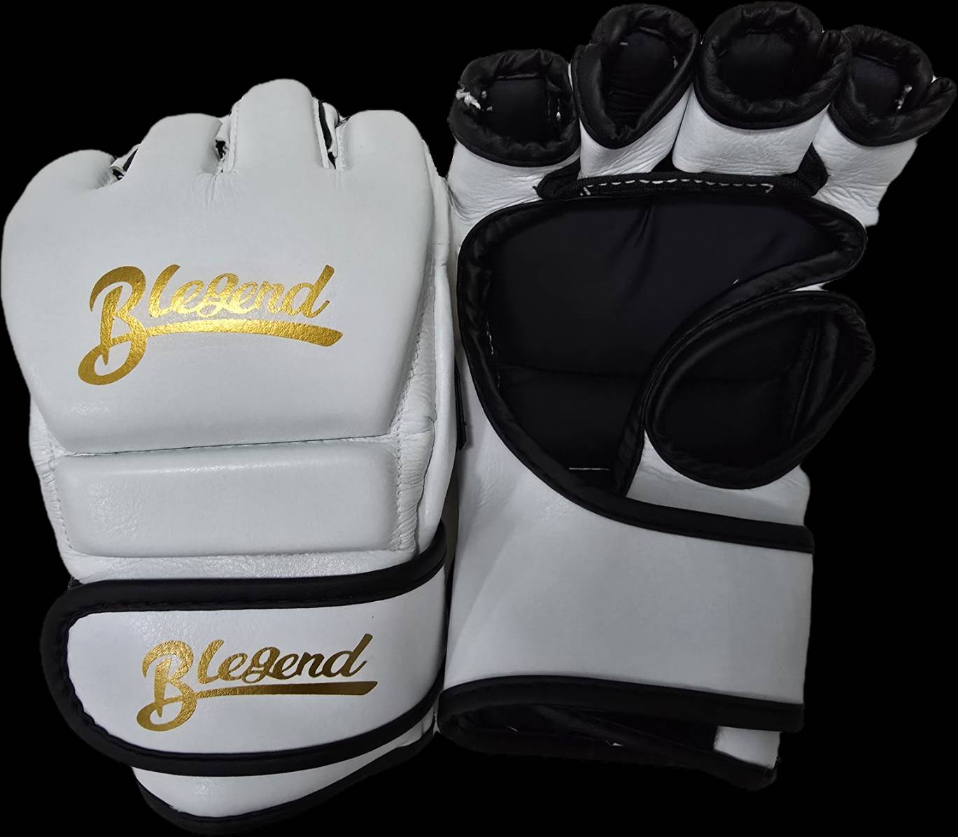 Blegend MMA Fight gloves