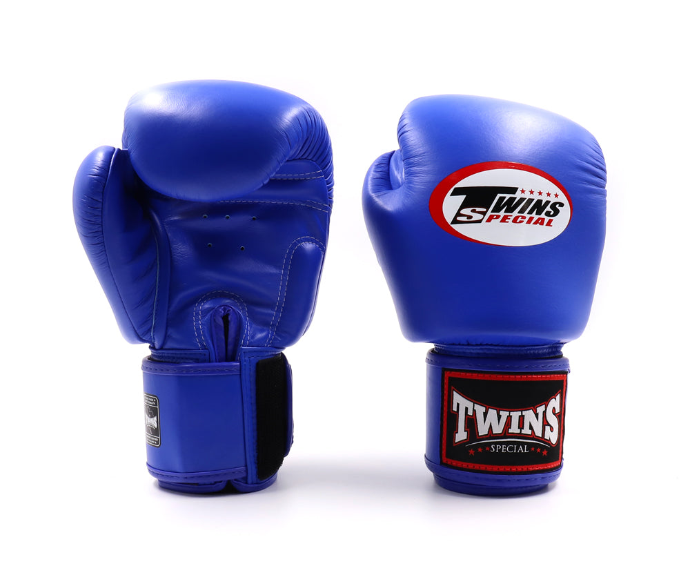 Buy online Muay Thai Gloves Fairtex Booster Blegend Top King at Super Export Shop