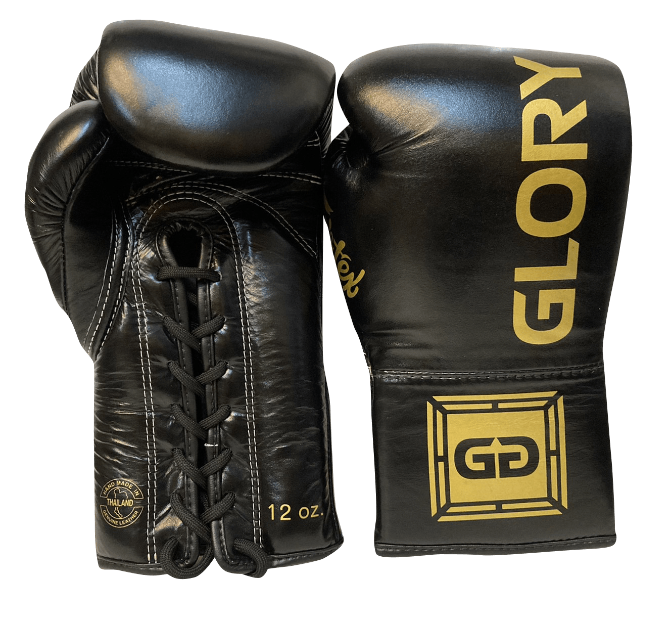 Fairtex Boxing Gloves BGLG1 GLORY Lace Up Black – SuperExportShop