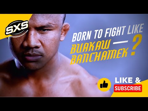 Buy Online for Buakaw Shorts BSH3 WHITE GOLD | at Super