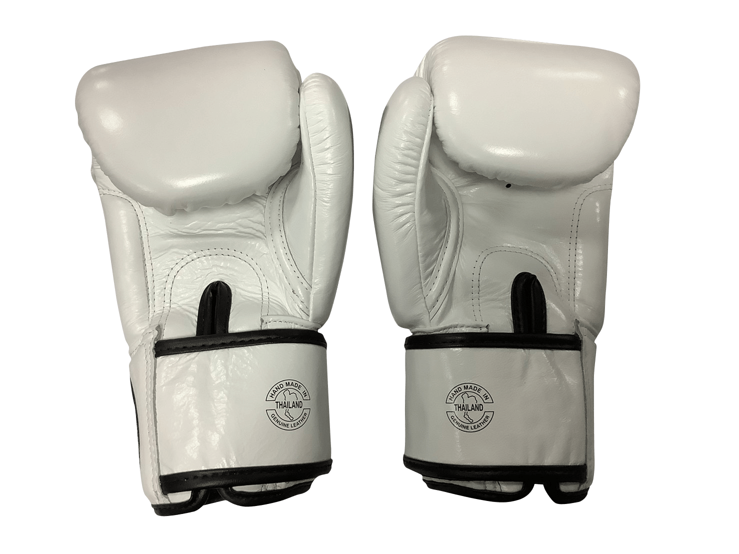 Fairtex Boxing Gloves BGV1 "ONE" White Fairtex