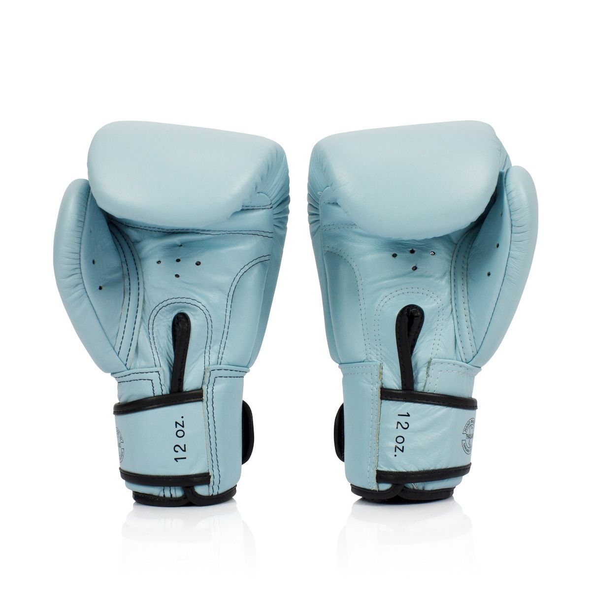 Fairtex Boxing Gloves BGV20 Light Blue Fairtex