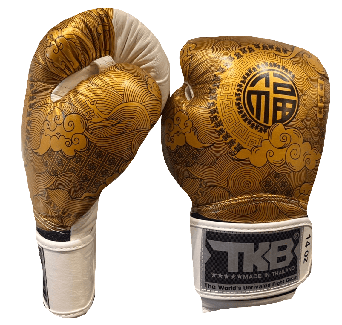 Buy Online for Top King Boxing Gloves TKBGCT CN01 White with