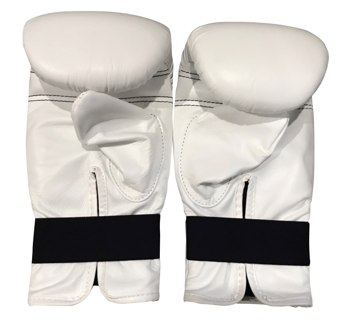 Twins Special Boxing Bag Gloves TBGL1F White - SUPER EXPORT SHOP
