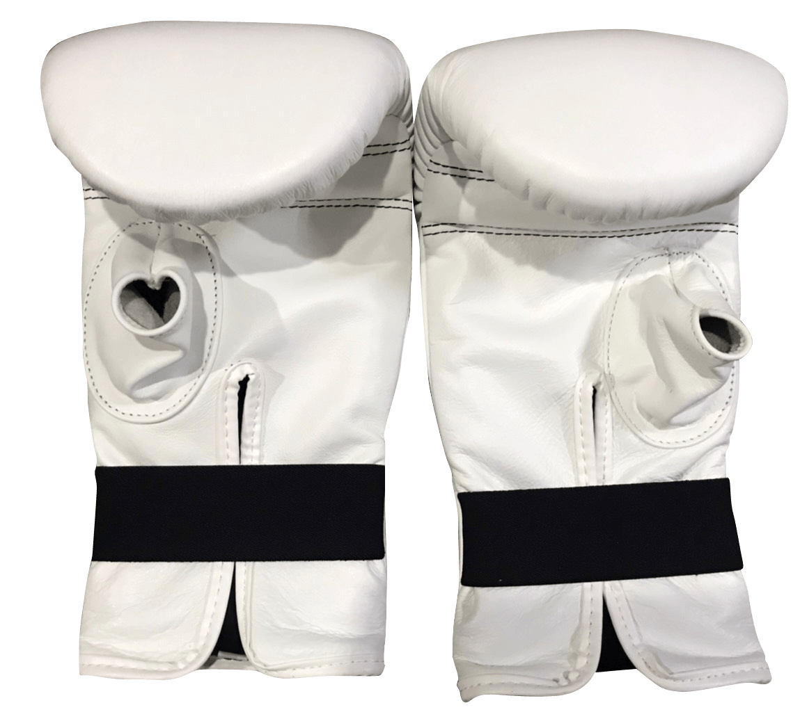 Twins Special Boxing Bag Gloves TBGL1H White - SUPER EXPORT SHOP
