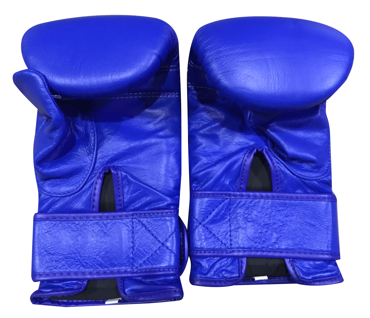 Twins Special Boxing Bag Gloves TBGL3F Blue - SUPER EXPORT SHOP