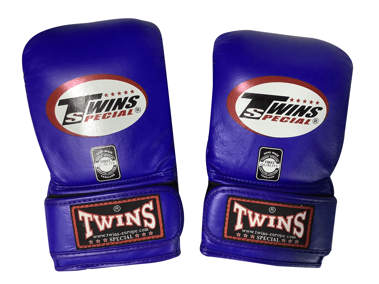 Twins Special Boxing Bag Gloves TBGL4H Blue - SUPER EXPORT SHOP